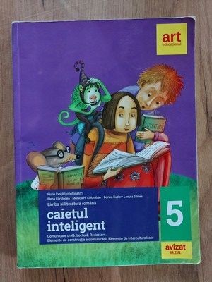 Caietul inteligent Clasa a 5 a- Florin Ionita, Elena Carstocea