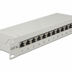 Patch Panel 10" 12 porturi Cat.6A gri, Delock 43308