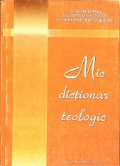 MIC DICTIONAR TEOLOGIC-IONEL DURLEA, NICULAE CONSTANTIN, AL. MORARIU-330553