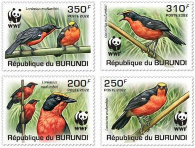 BURUNDI 2022 pasari WWF foto