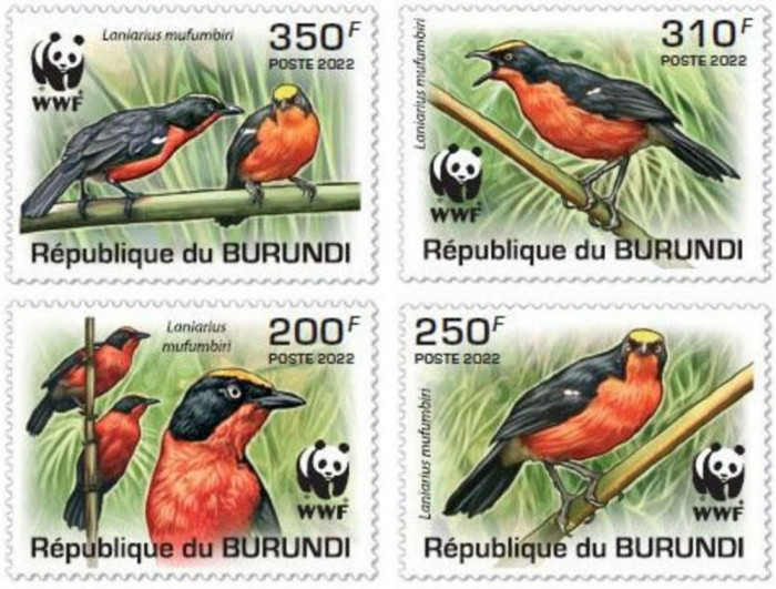 BURUNDI 2022 pasari WWF