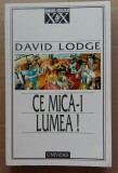 (C503) DAVID LODGE - CE MICA-I LUMEA !