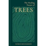 The Healing Nature Of Trees