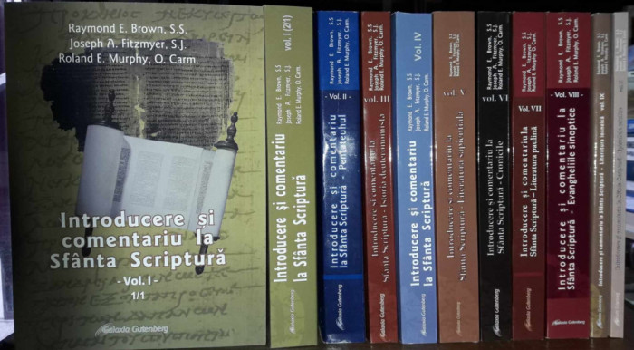 Raymond E.Brown-Introducere si comentariu la Sfanta Scriptura-11 volume