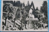 Carte postala, Tusnad Bai, 1955