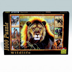 Puzzle Wildlife Leu 1000 piese foto