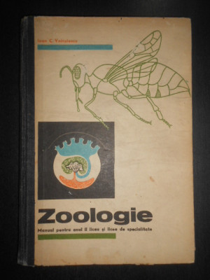 Ioan C. Voiculescu - Zoologie. Manual pentru clasa a X-a liceu foto