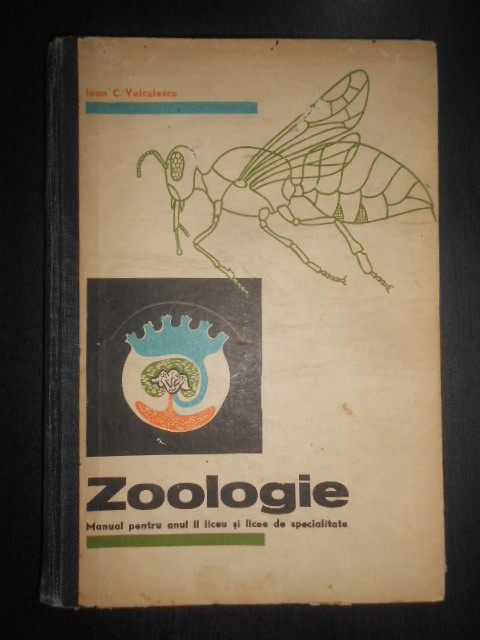 Ioan C. Voiculescu - Zoologie. Manual pentru clasa a X-a liceu