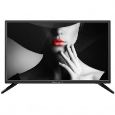 Televizor Horizon DIAMANT LED 24HL4300H/A 61cm HD Ready Black foto