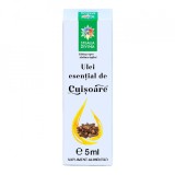 Ulei esential de cuisoare, 5ml, Steaua Divina