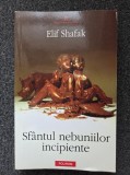 SFANTUL NEBUNIILOR INCIPIENTE - Elif Shafak