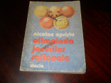 Olimpiada jocurilor rationale &ndash; Nicolae Oprisiu, 1984
