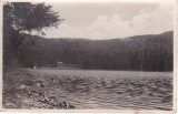 AMS % - ILUSTRATA LACUL SFANTA ANA LANGA TUSNAD - NECIRCULATA