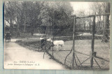 AD 87 C. P. VECHE - TOURS- JARDIN BOTANIQUE ET ZOOLOGIQUE - FRANTA- 1919