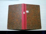 NOUL GHID AL IASULUI - Constatin Dimitriu, Ion Patru - 1927, 118 p.; harta