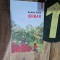 IERBAR - Andrei D&oacute;sa