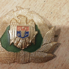 M3 C16 - Emblema militara - straina