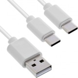 Cablu de alimentare USB-A la 2 x USB type C T-T 2m Alb, InLine IL35122W