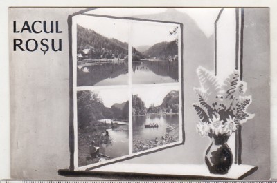 bnk cp Lacul Rosu - Vedere - necirculata foto