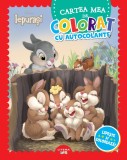 Disney Iepurasi. Cartea mea de colorat cu autocolante. Lipeste si coloreaza!, Litera