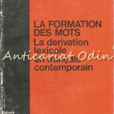 Le Formation Des Mots. Le Derivation Lexicale En Francais Contemporan