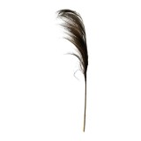 Cumpara ieftin Planta decorativa Pampasion Boho Pako World Natural 80x1.5x150 cm