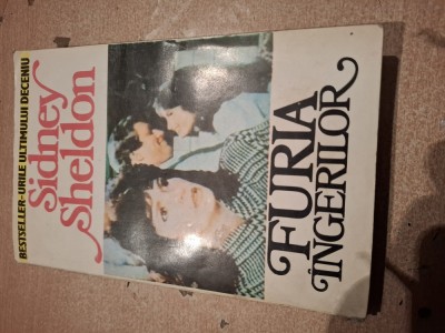 Carte furia ingerilor foto