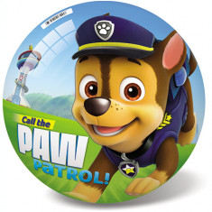 Minge Star Paw Patrol 14 cm foto