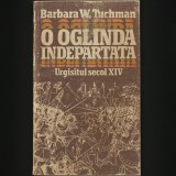 Cumpara ieftin O OGLINDA INDEPARTATA - BARBARA W. TUCHMAN - URGISITUL SECOL XIV