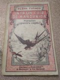 B. Intr-un cui de randunica pentru copii ANCORA