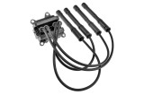 Bobina inductie cu cabluri Renault Modus, Grand Modus 1.2 16v, 1.2, Clio 3 1.2 16v, 1.2, Kangoo 1.2 16v 2001-, Dacia Sandero 1.2 16v 2008-, NTY ECZ-R