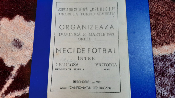 program Celuloza Drobeta Tr. Severin - Victoria Ineu