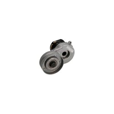 Intinzator curea OPEL CORSA C F08 F68 DAYCO APV2508 foto