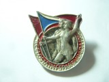 Insigna - Sport -Spartakiada 1960 Cehoslovacia ,metal argintat si email ,h=3,3cm