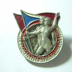 Insigna - Sport -Spartakiada 1960 Cehoslovacia ,metal argintat si email ,h=3,3cm