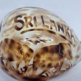 Ghioc, scoica gravata manual - SRI LANKA - elefanti
