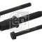 FEBI BILSTEIN 33845 Set suruburi, pinion (lant distributie)