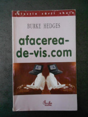 BURKE HEDGES - AFACEREA DE-VIS. COM foto