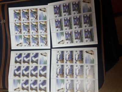 Set minicoli romania 2006 păsări protejate MNH foto