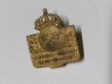 Insigna &ldquo;Tineretul Suediei viitorul său&rdquo;