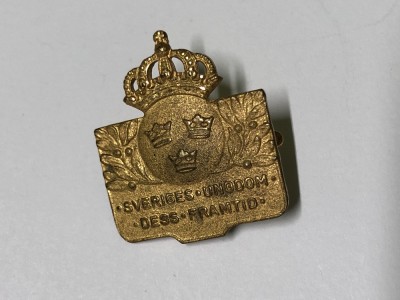 Insigna &amp;ldquo;Tineretul Suediei viitorul său&amp;rdquo; foto