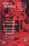 Pravaliile de scortisoara. Sanatoriul sub semnul clepsidrei/Bruno Schulz