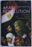 THE ARAB REVOLUTION - TEN LESSONS FROM THE DEMOCRATIC UPRISING by JEAN - PIERRE FILIU , 2011