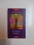 CE MICA - I LUMEA de DAVID LODGE , 2001