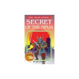 Secret of the Ninja