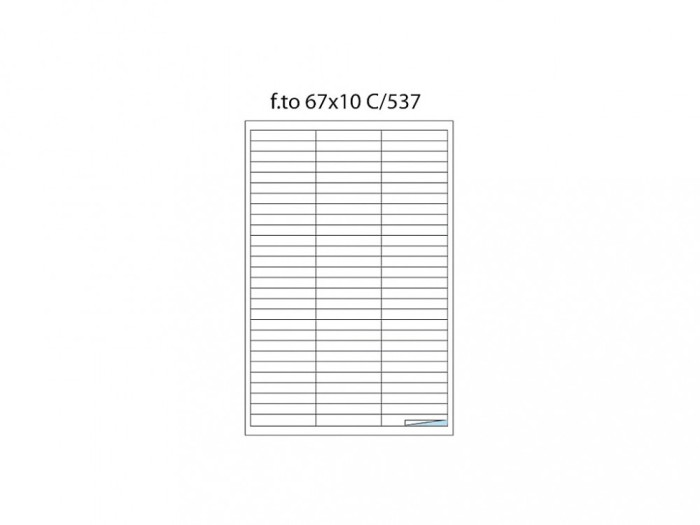 Etichete 84/A4 67 x 10 100/cutie