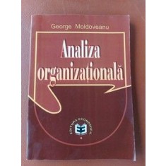 Analiza organizationala- George Moldoveanu