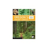 Oregon's Ancient Forests: A Hiking Guide