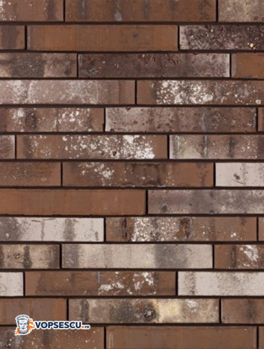 Placaj klinker Terca Archipolis Barn Bruin, 24x4x2.3 cm