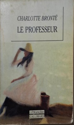 Le professeur &amp;ndash; Charlotte Bronte (putin patata) foto